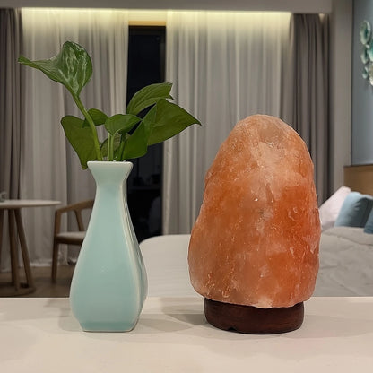 Himalayan Salt Lamp – Natural Crystal USB Night Light